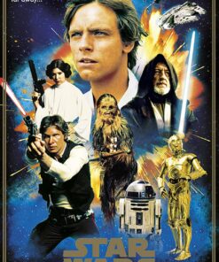 Poster Star Wars 40 Aniversario Héroes 61 x 91,5 cm decoración galáctica.