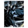 Póster de Vidrio Batman Watcher con acabado premium sobre cristal inspirado en el icónico héroe de DC Comics.